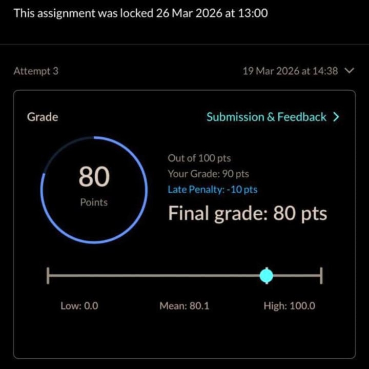 Student grade proof – 80/100